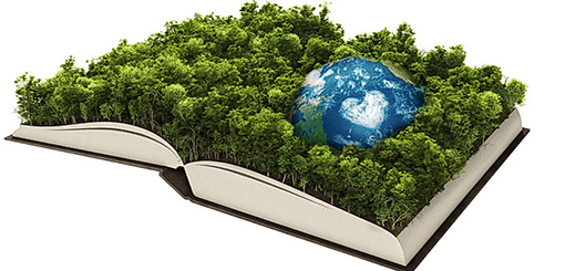 Ley de Educación Ambiental: el camino hacia su implementación